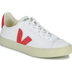 Veja - CAMPO CANVAS