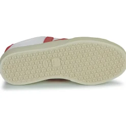 Veja - CAMPO CANVAS