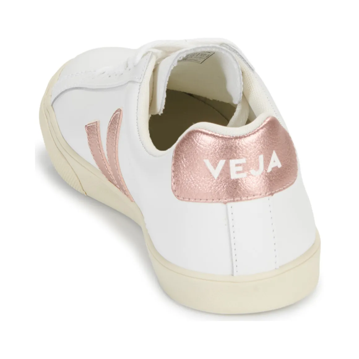 Veja - ESPLAR LOGO