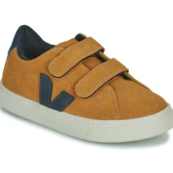 Veja - SMALL ESPLAR