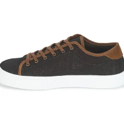 Victoria - BASKET LINO DETALLE MARRON