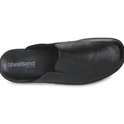 Westland - BELFORT 20