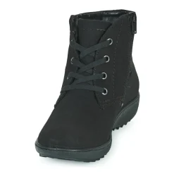 Westland - ORLEANS 126
