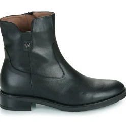 Wonders - C-5481