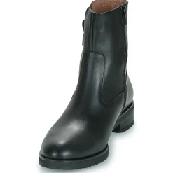 Wonders - C-5481