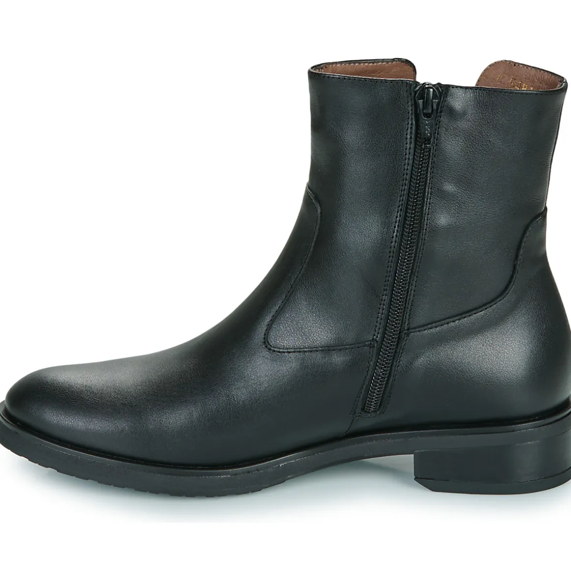 Wonders - C-5481